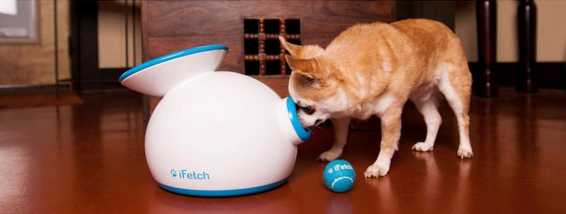 ifetch 03