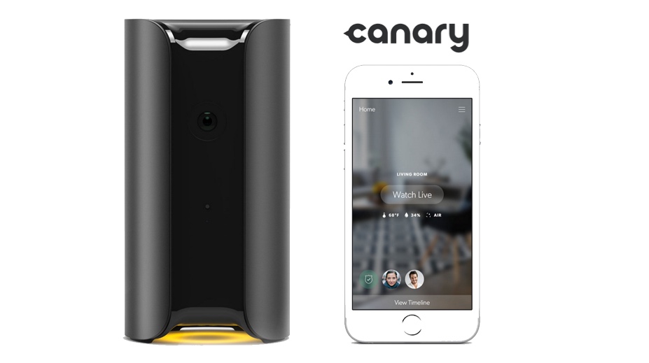 canary 01