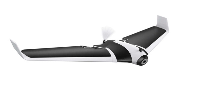 parrot disco 01