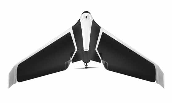 parrot disco 02