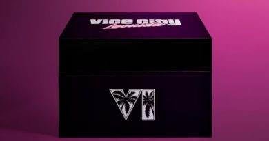 GTA 6 : un collector à 400 €… mais sans le jeu !