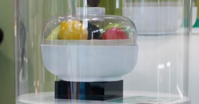 Vitesy Fruit Bowlce : Ce panier à fruits italien promet d’en finir avec le gaspillage (et les moucherons)